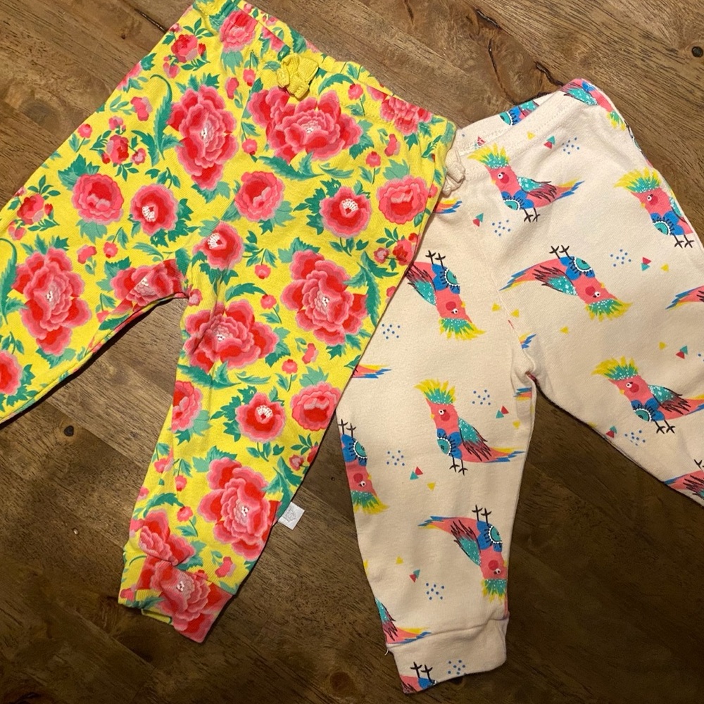 Colorful pant duo
